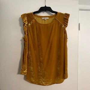 Loft Velvet-feel top